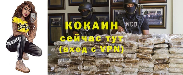 мескалин Касимов