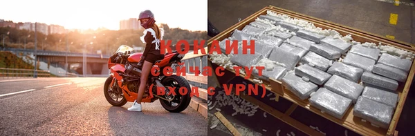 мескалин Касимов