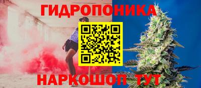 ECSTASY Гулькевичи