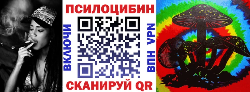 дарнет шоп  ОМГ ОМГ маркетплейс  Галлюциногенные грибы Psilocybine cubensis  Ачинск 