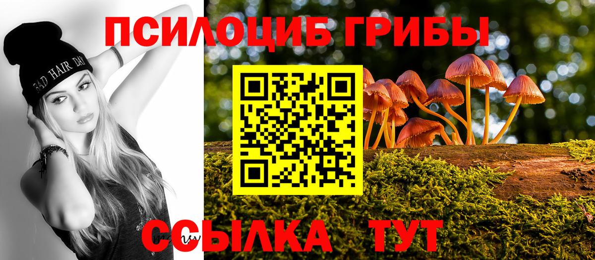 Псилоцибиновые грибы Psilocybe  сколько стоит  Ачинск  Вход с VPN 