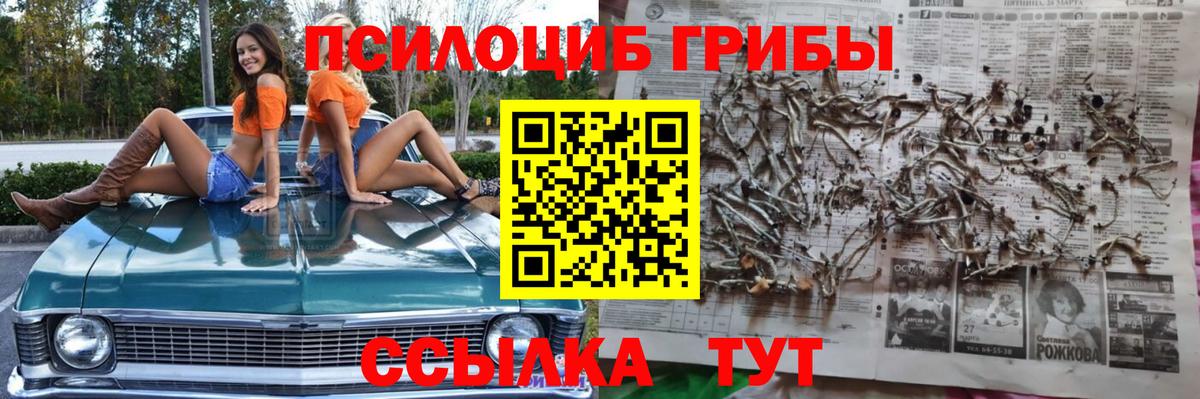 Галлюциногенные грибы мухоморы Ачинск