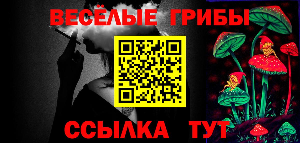 Псилоцибиновые грибы Psilocybine cubensis  Ачинск  Псилоцибиновые грибы MAGIC MUSHROOMS 